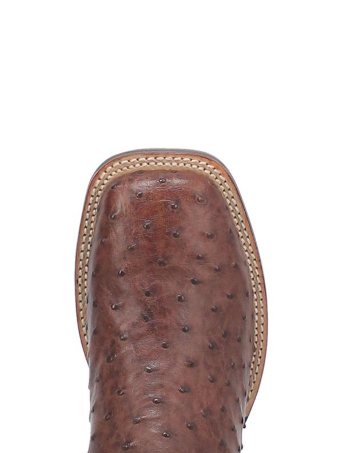 Men's Dan Post Alamosa Full Quill Ostrich Leather Boots DP3875 - Image 4