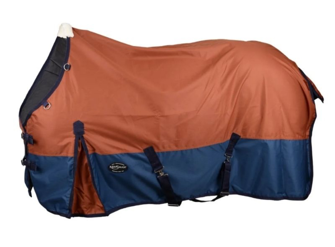 Reinsman 200-gram Fill Classic Winter Sheet H101 - Image 2