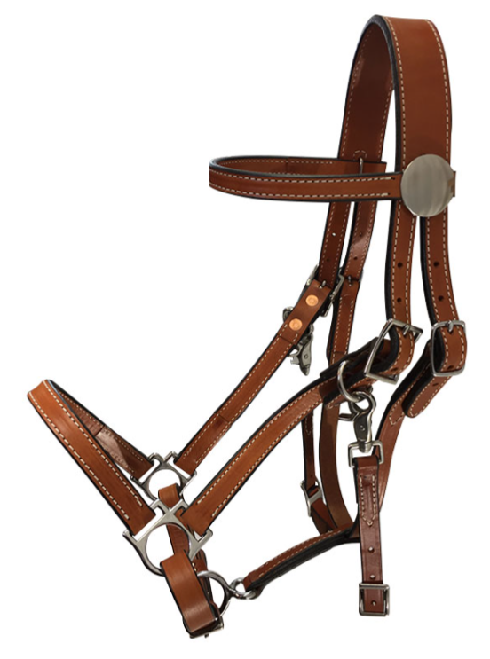 Tucker Standard Halter Bridle 114 - Image 2