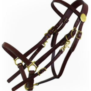 Tucker Halter Bridle Large Horse 325