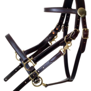 Tucker Standard Halter Bridle 114