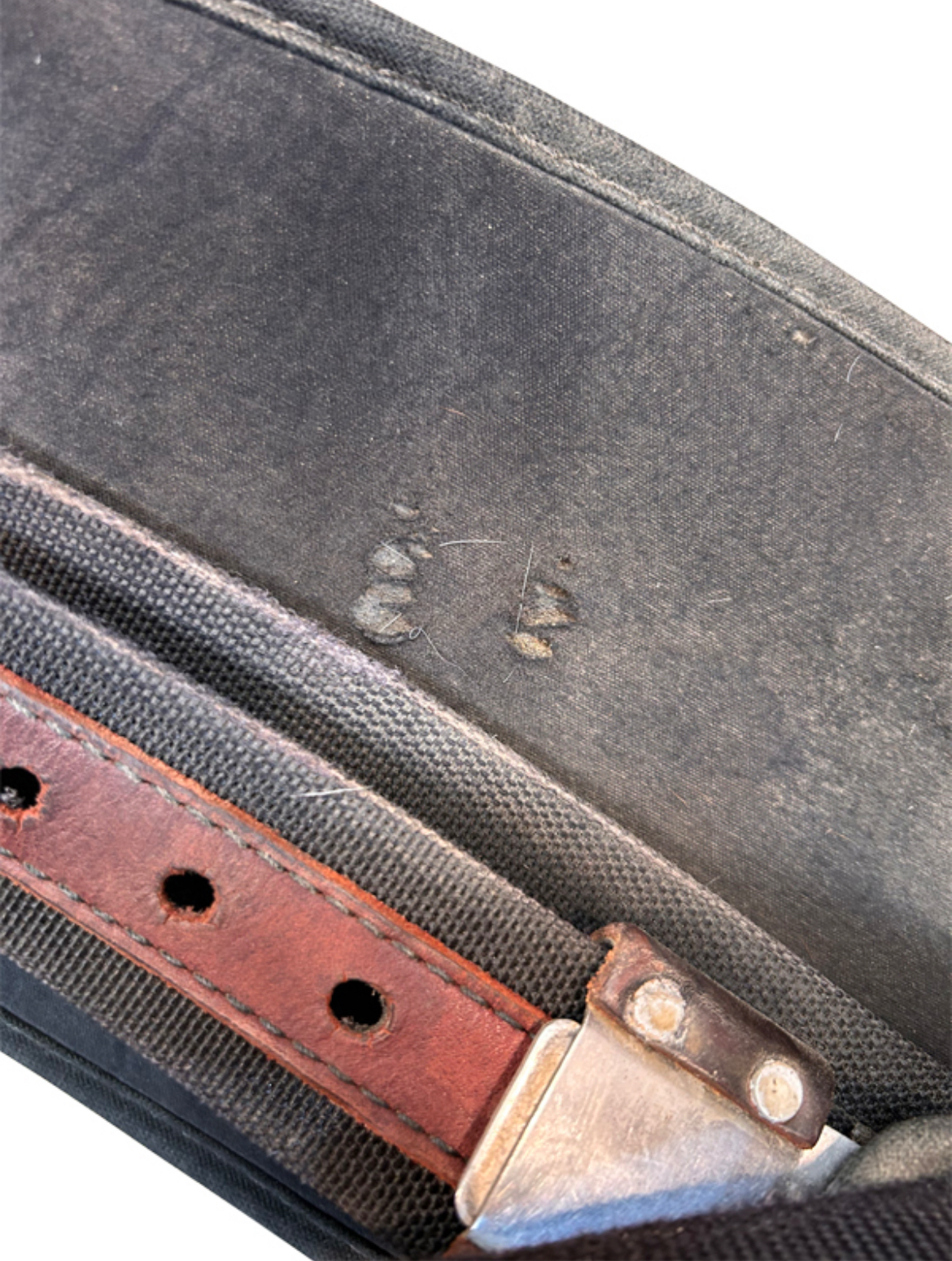 16 Inch Used High Horse Daisetta Trail Saddle 6914 - Image 6