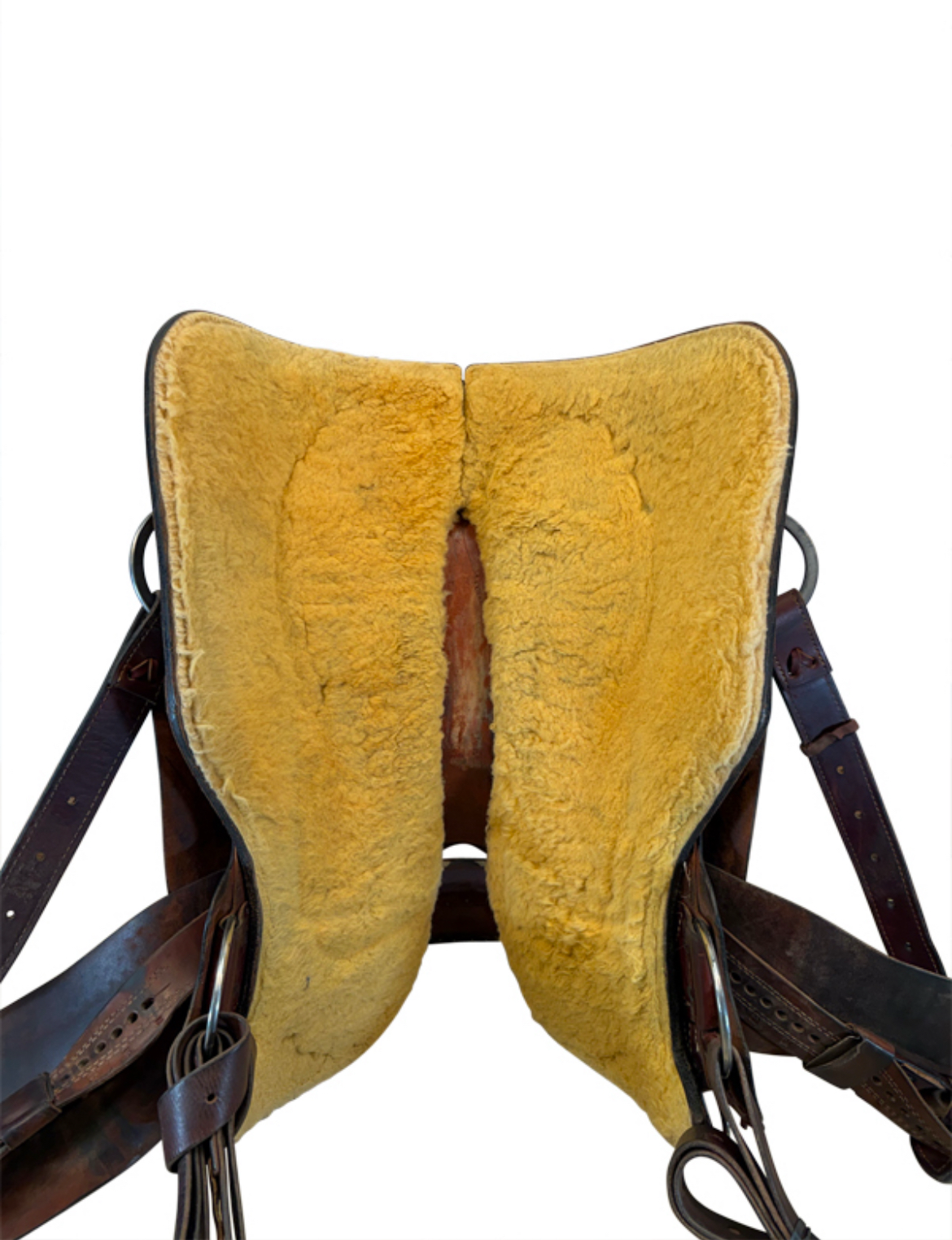 17.5Inch Used Koen Cutting Saddle Medium Tree - Image 4