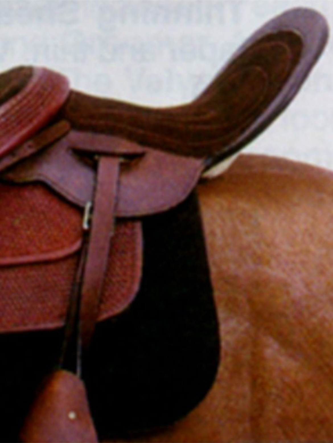 Child Tandem Saddle rejt72-9952