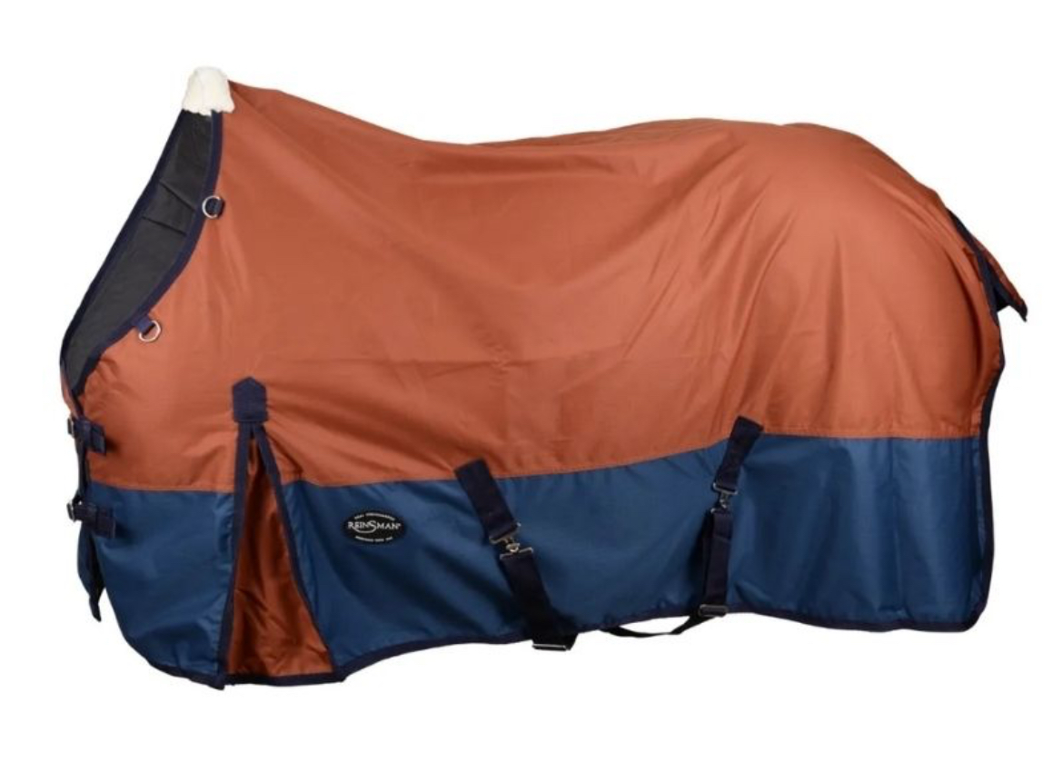 Reinsman 300-gram Fill Classic Winter Sheet H102 - Image 2