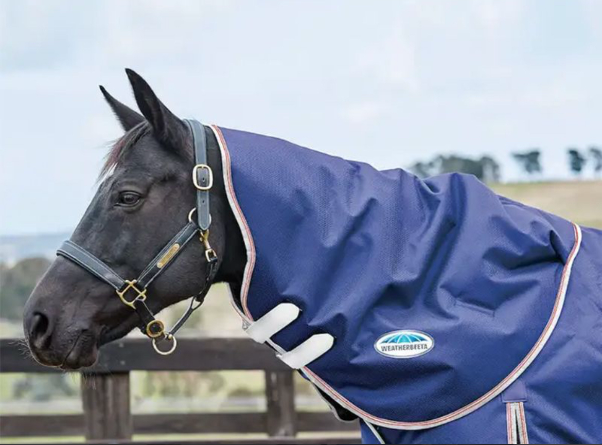 WeatherBeeta ComFiTec Essential Neck Rug Medium 1000418000 ZDS