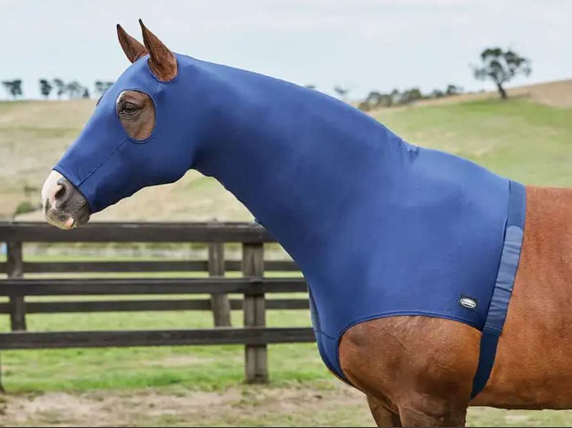 WeatherBeeta’s Stretch Hood With Zip 1000052000