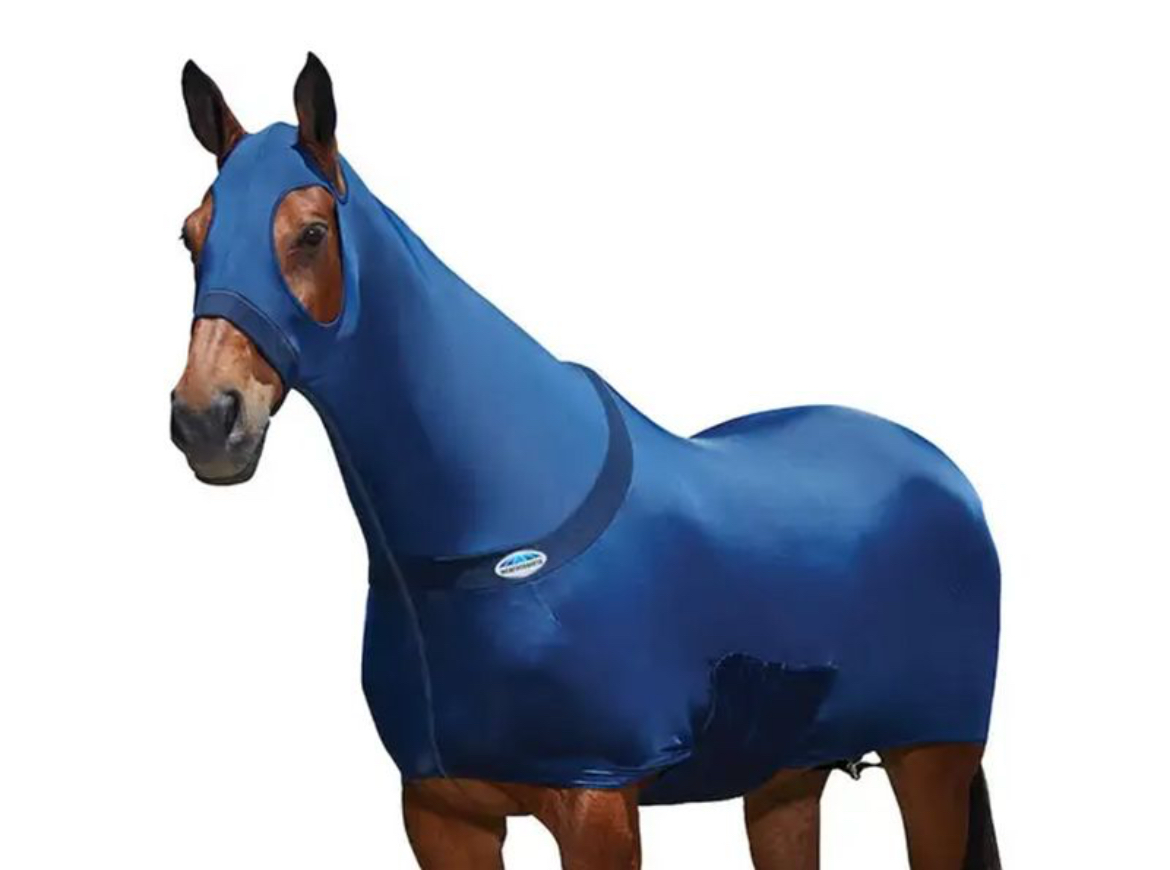 WeatherBeeta’s Stretch Rug 1022457000 - Image 2