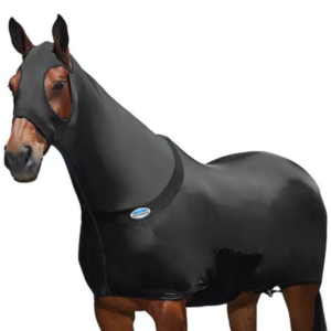 WeatherBeeta’s Stretch Rug 1022457000