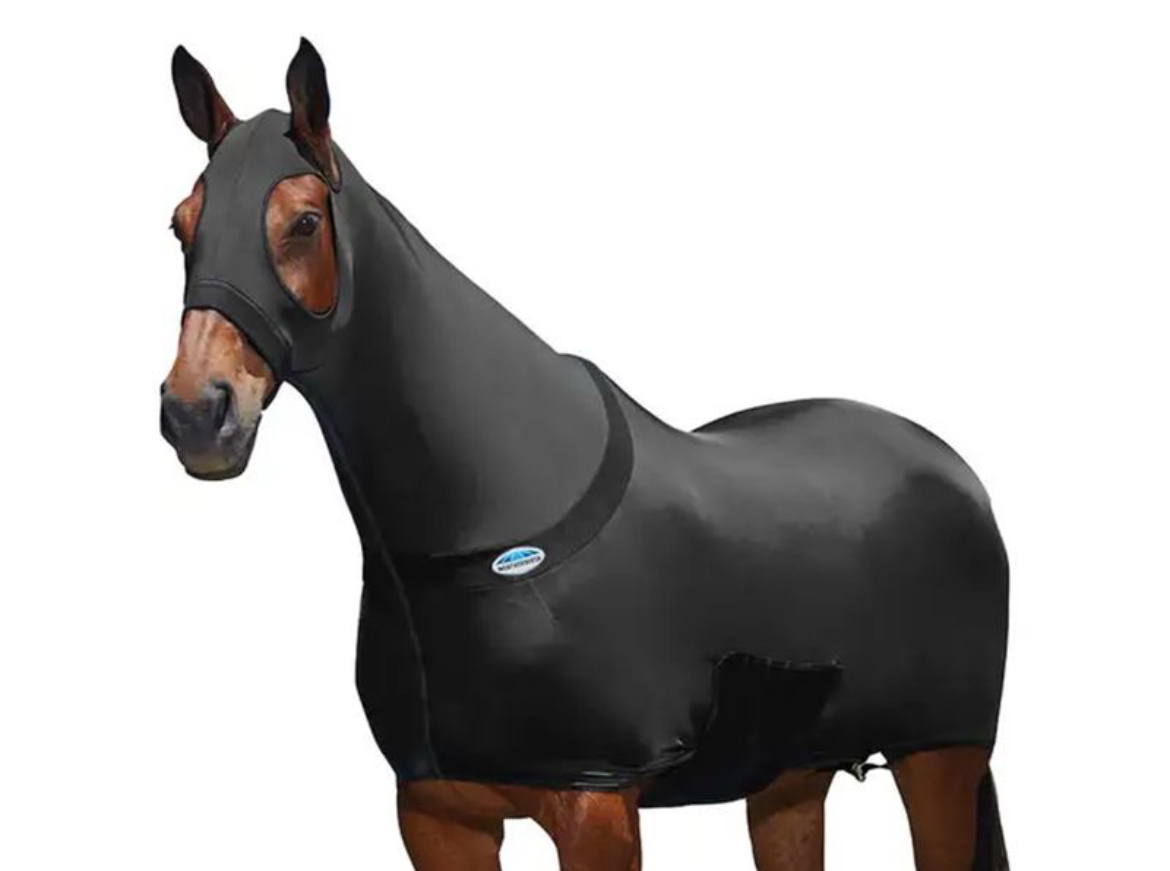 WeatherBeeta’s Stretch Rug 1022457000